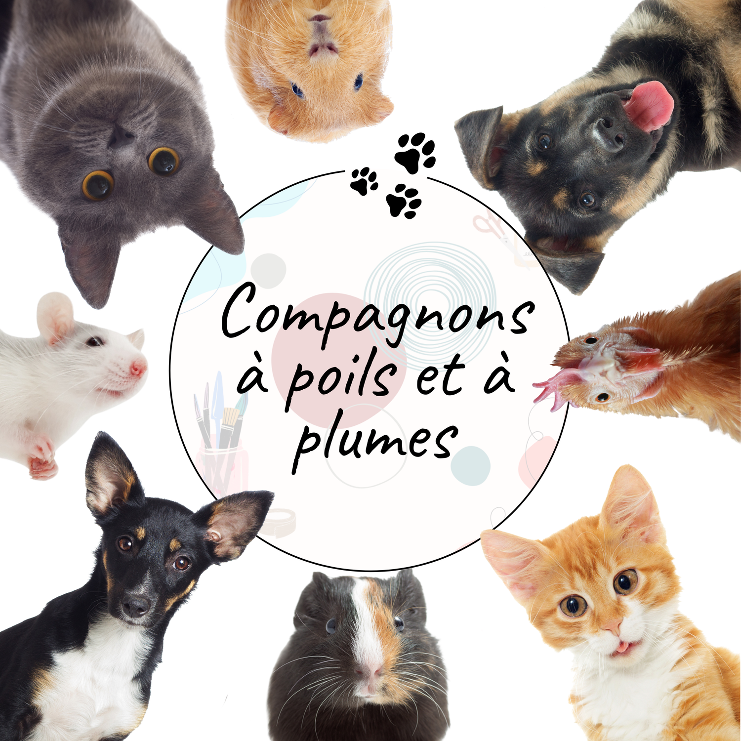 Compagnons à poils et à plumes